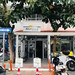 Mimosa * カシュ