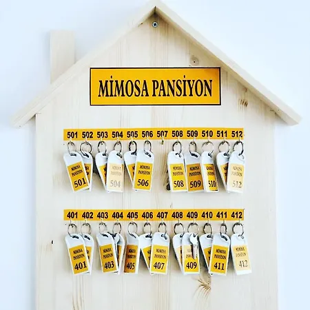 Mimosa *