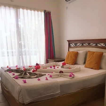 Homestay Mimosa *