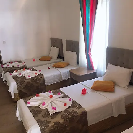 Homestay Mimosa *