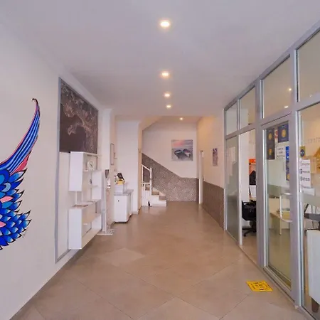 Mimosa 民宿 卡斯