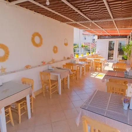 Mimosa Homestay