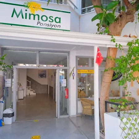 民宿 Mimosa
