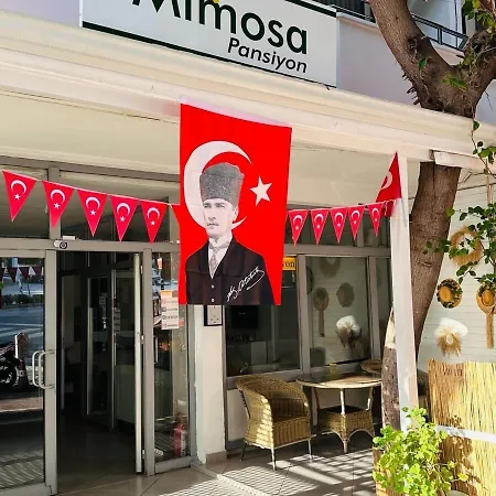 홈스테이 Mimosa