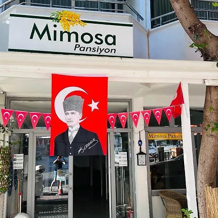 Mimosa 民宿 *