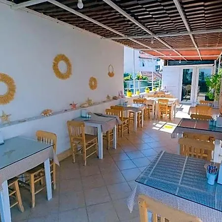 民宿 含羞草公寓 *