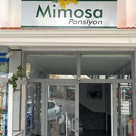 Homestay Mimosa Kas