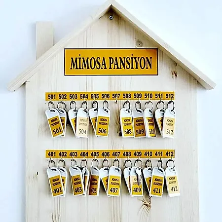 Mimosa Homestay *