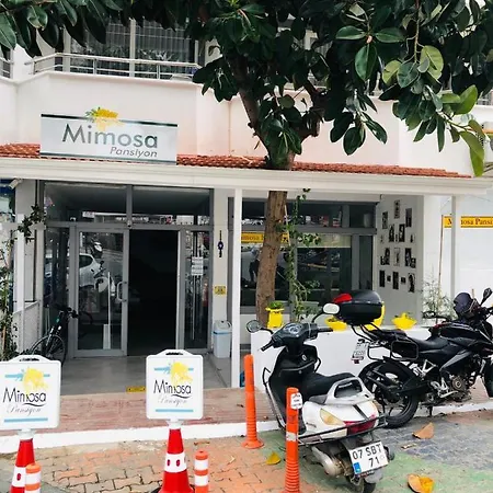 Mimosa Ubytování v soukromí