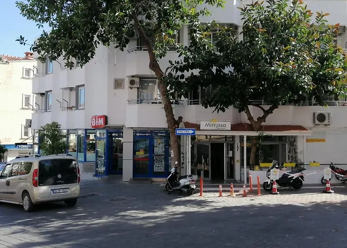 Mimosa Homestay szállás *