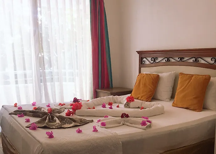 Homestay szállás Mimosa *