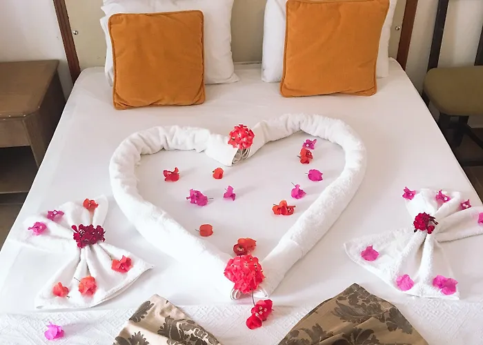 Mimosa Accommodatie bij particulieren Kaş