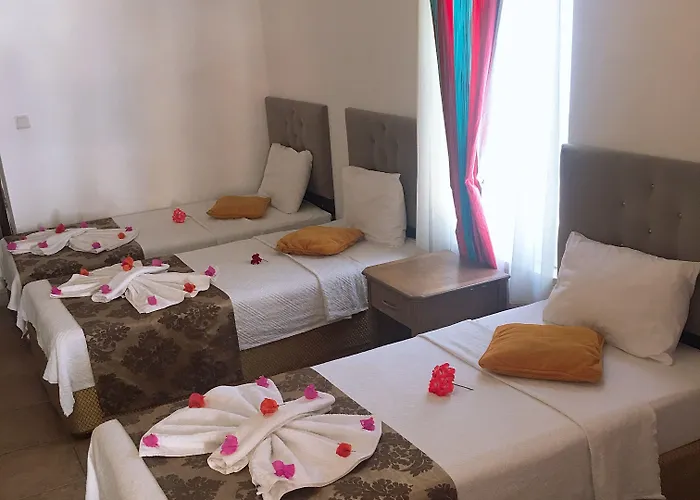 Homestay szállás Mimosa *