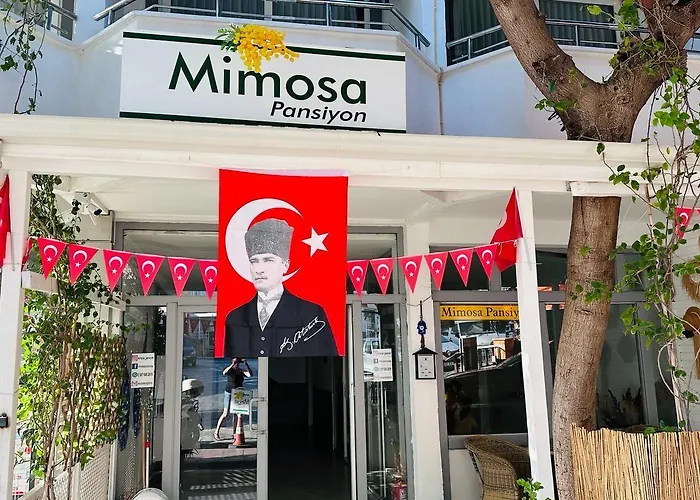 Mimosa Homestay szállás *