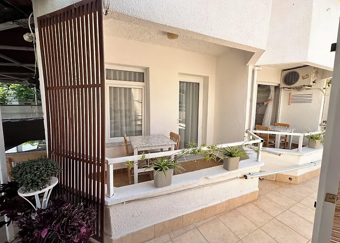 Mimosa Homestay szállás